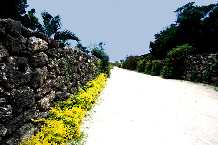 Click to enlarge Highslide JS