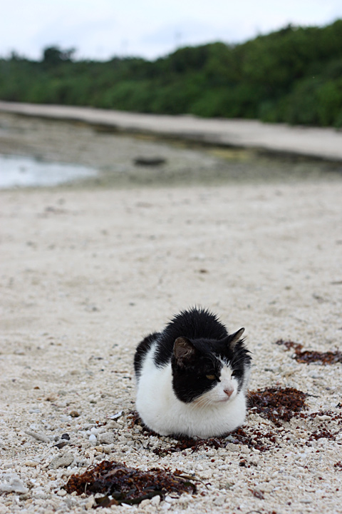Click to enlarge Highslide JS