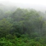 2007夏・東北トリップ最終日