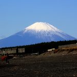 文化の日の海散策